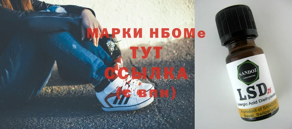 СК Алексин