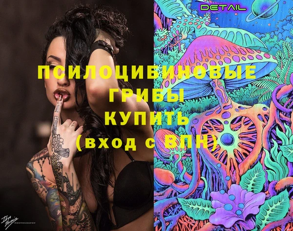 спайс Алзамай
