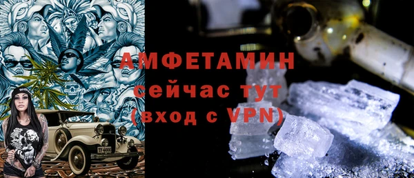 СК Алексин